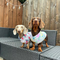 Load image into Gallery viewer, Sunkissed Sandy Sausage DoxieCool Dachshund Cooling Vest +30 Sun Protection
