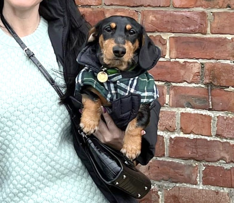 Sausage Dog Box, Dachshund Reversible Plaid Coat Green