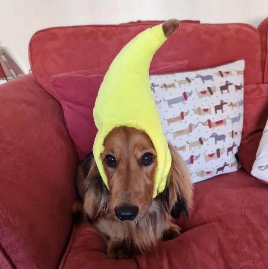Sausage Dog Box Banana Hat