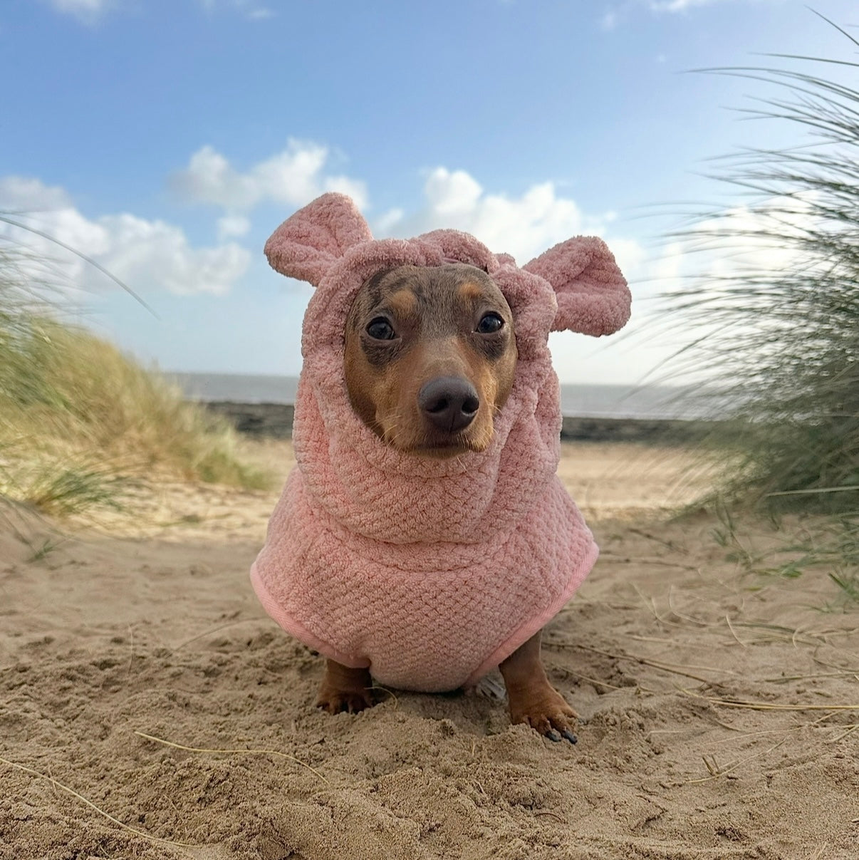 Cotton Candy DoxieRobe - Bamboo Dachshund Drying Robe