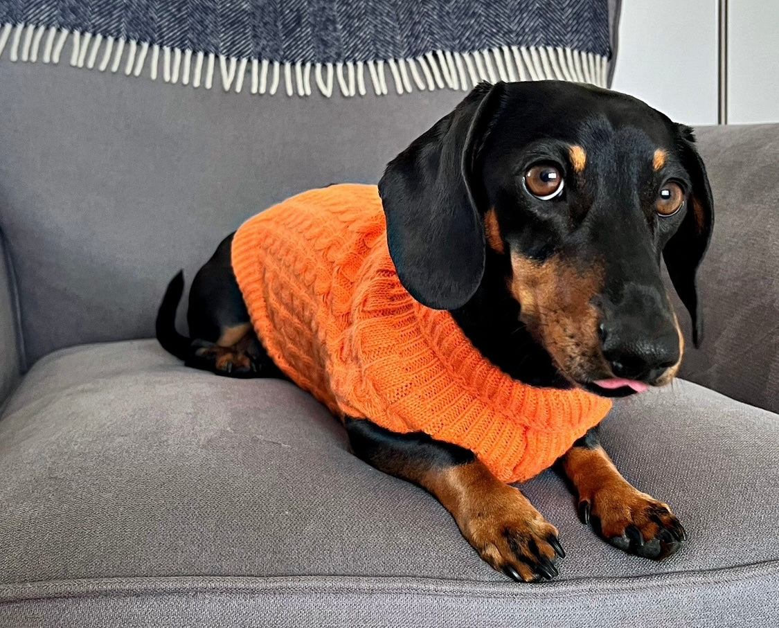 BARK AVENUE Luxury Cable Knit Jumper - Pumpkin Spice