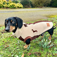 Load image into Gallery viewer, Walnut Whip DoxieDri Dachshund Harness Fleece
