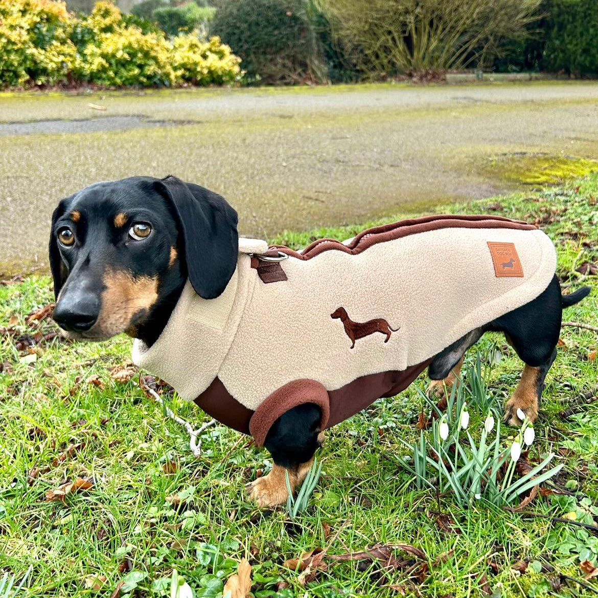 Walnut Whip DoxieDri Dachshund Harness Fleece
