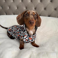 Load image into Gallery viewer, Howdy Cowboy 'Dach-A-Mac' Dachshund Rain Mac In Bag Sausage Dog Box Coat
