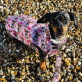 Load image into Gallery viewer, Howdy Cowgirl 'Dach-A-Mac' Dachshund Rain Mac In Bag
