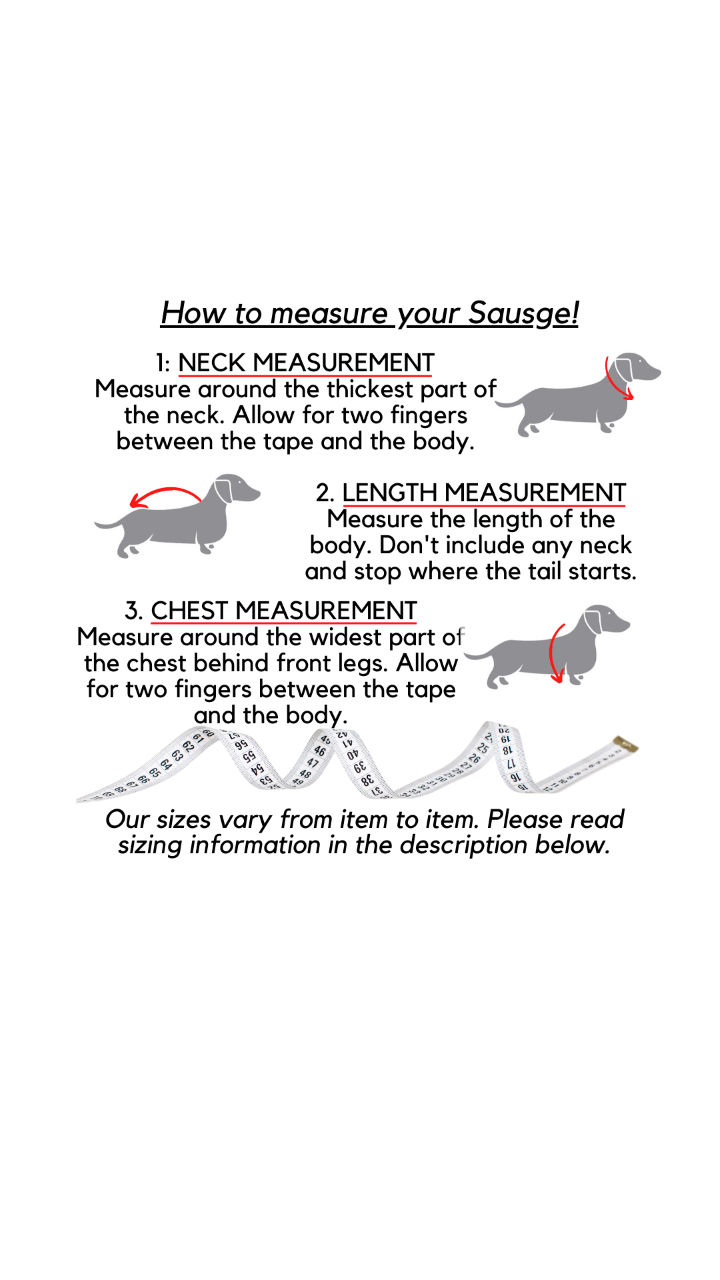 CLEARANCE - Sausage Dog Box Dachshund Cheetah Outfit