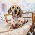 Load image into Gallery viewer, Frosty Sausages Christmas Dachshund Jumper - Long Dog Zipper Fleece
