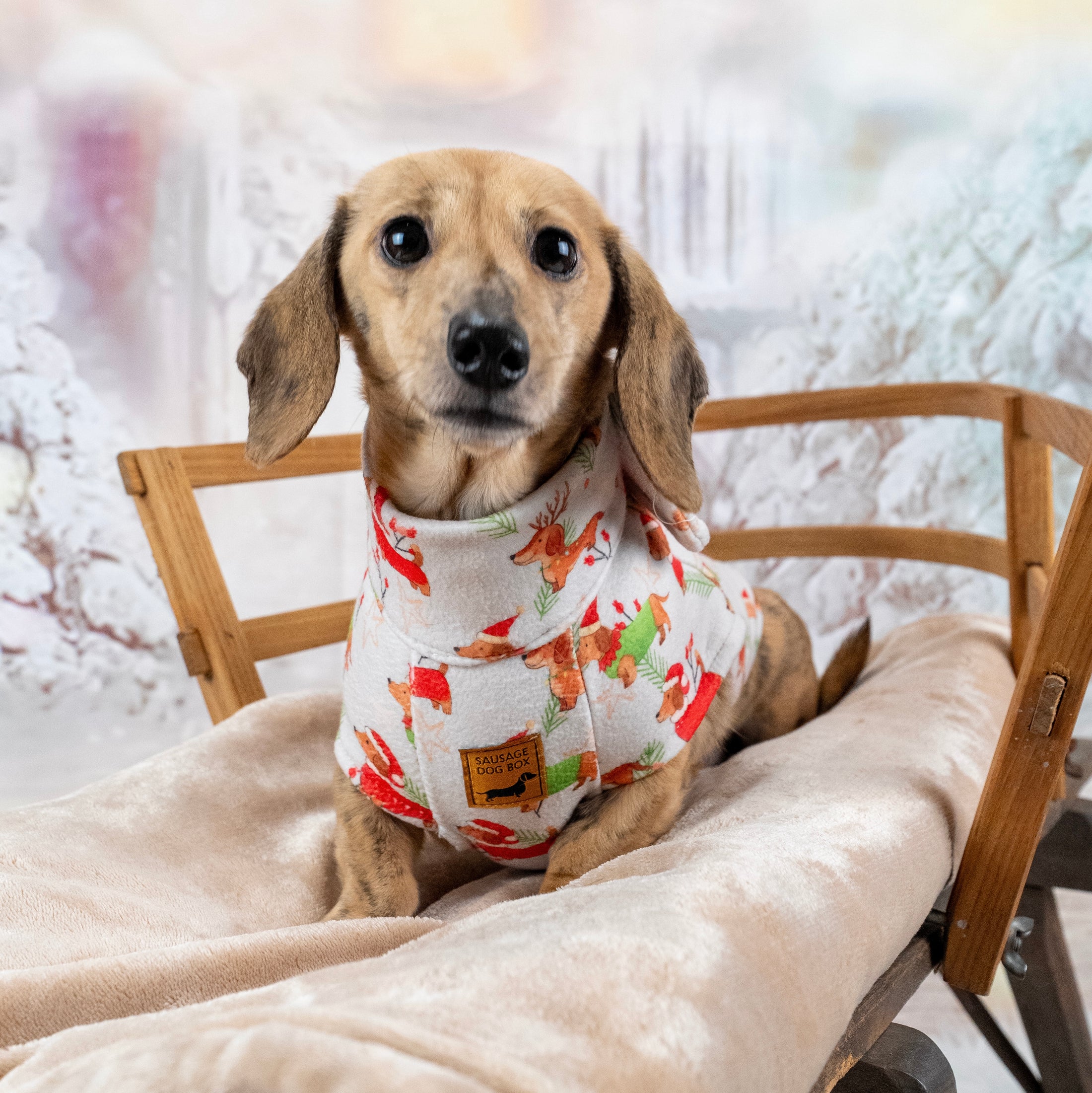 Frosty Sausages Christmas Dachshund Jumper - Long Dog Zipper Fleece