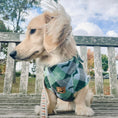 Load image into Gallery viewer, Blue Highland Argyle Fleece Dachshund Long Dog Zipper Jumper

