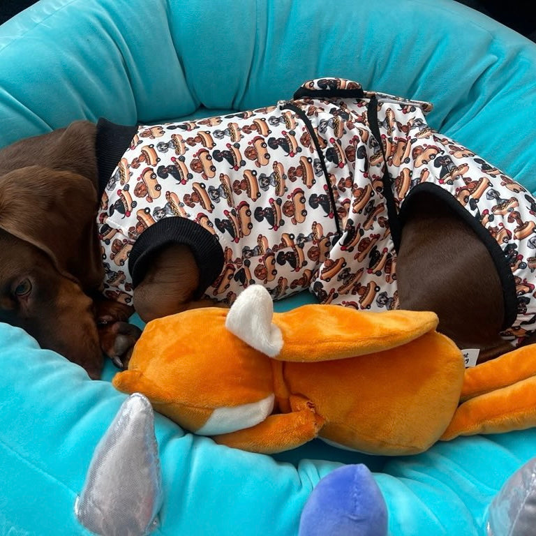 Antibacterial Dachshund Dog Surgery Suit | Sausage Dog Recovery / Allergy Outfit