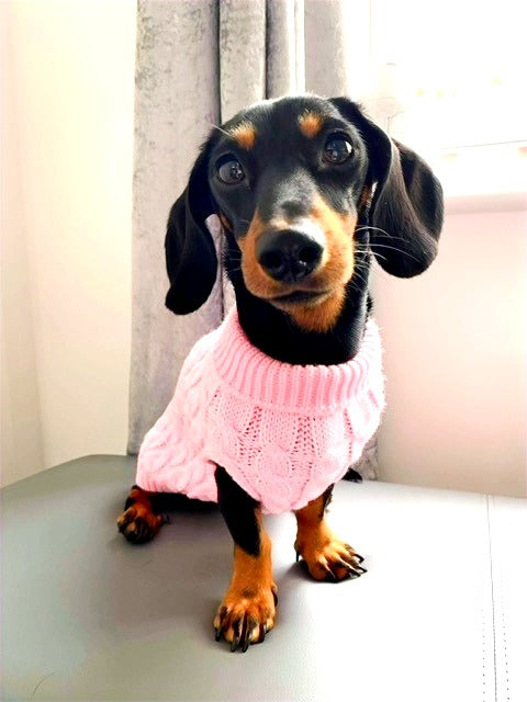 Sausage Dog Box Cosy Candyfloss Pink Cable Knit Dachshund Jumper