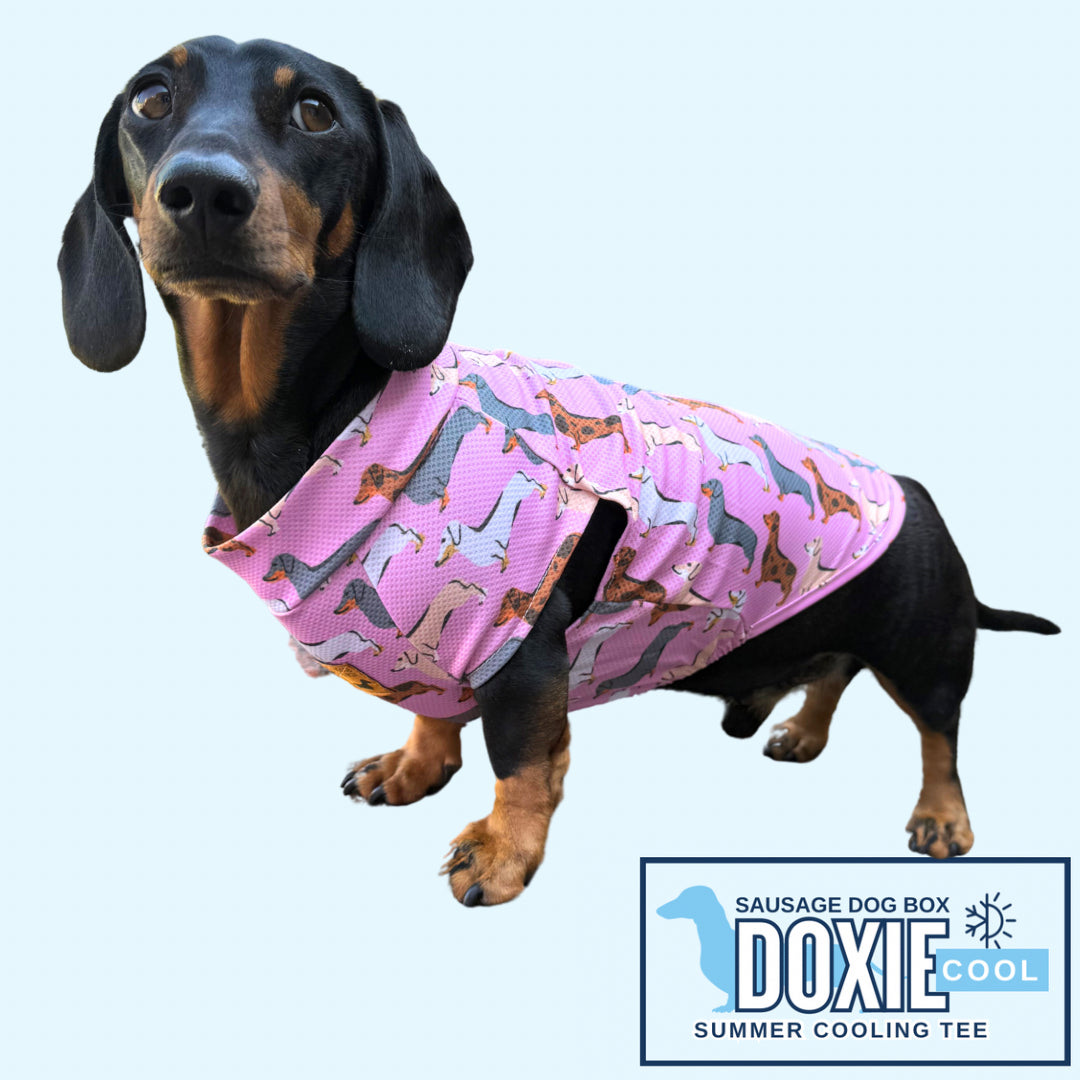 Pink Sophisticated Sausage Dachshund Dog Cooling Vest | DoxieCool