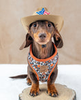 Load image into Gallery viewer, Howdy Cowboy Anti-Rub Harness for Dachshunds / Adjustable Sausage Dog Harness
