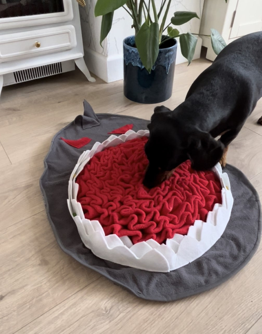 Sausage Dog Box Large Shark Snuffle Mat