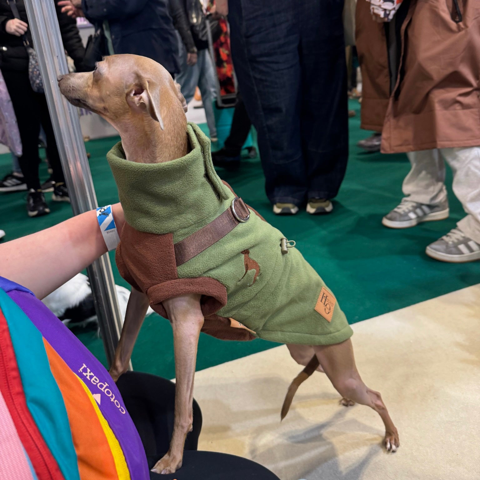 Pistachio PupDri Zip Back Dog Fleece Harness Jumper | Hound Outfitters