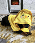 Load image into Gallery viewer, Sausage Dog Box Dachshund Duckie Towel
