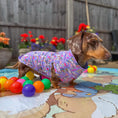 Load image into Gallery viewer, Dachshund In Bloom DoxieCool Dog Cooling Vest for Dachshunds
