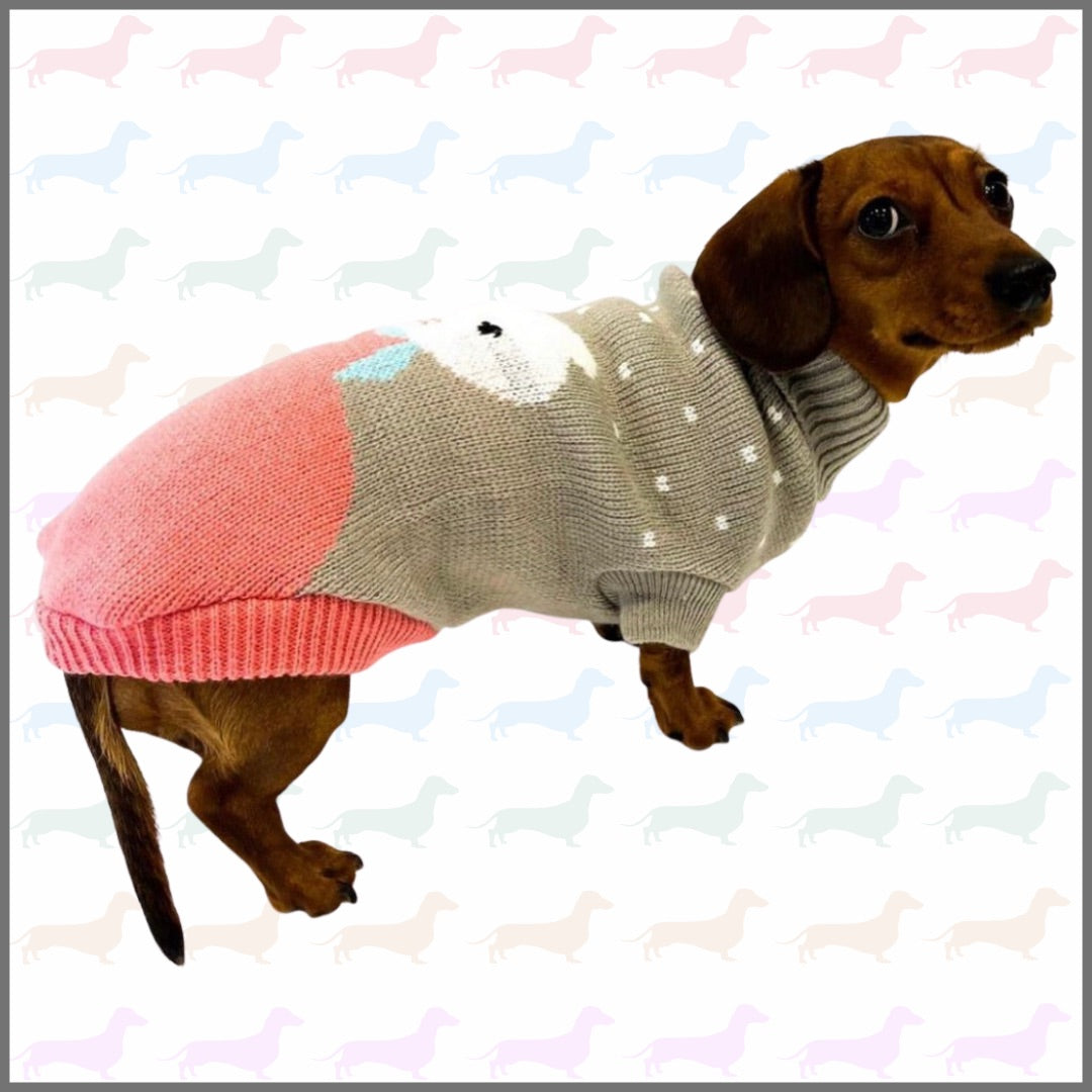 Sausage Dog Box Dachshund Bunny Jumper
