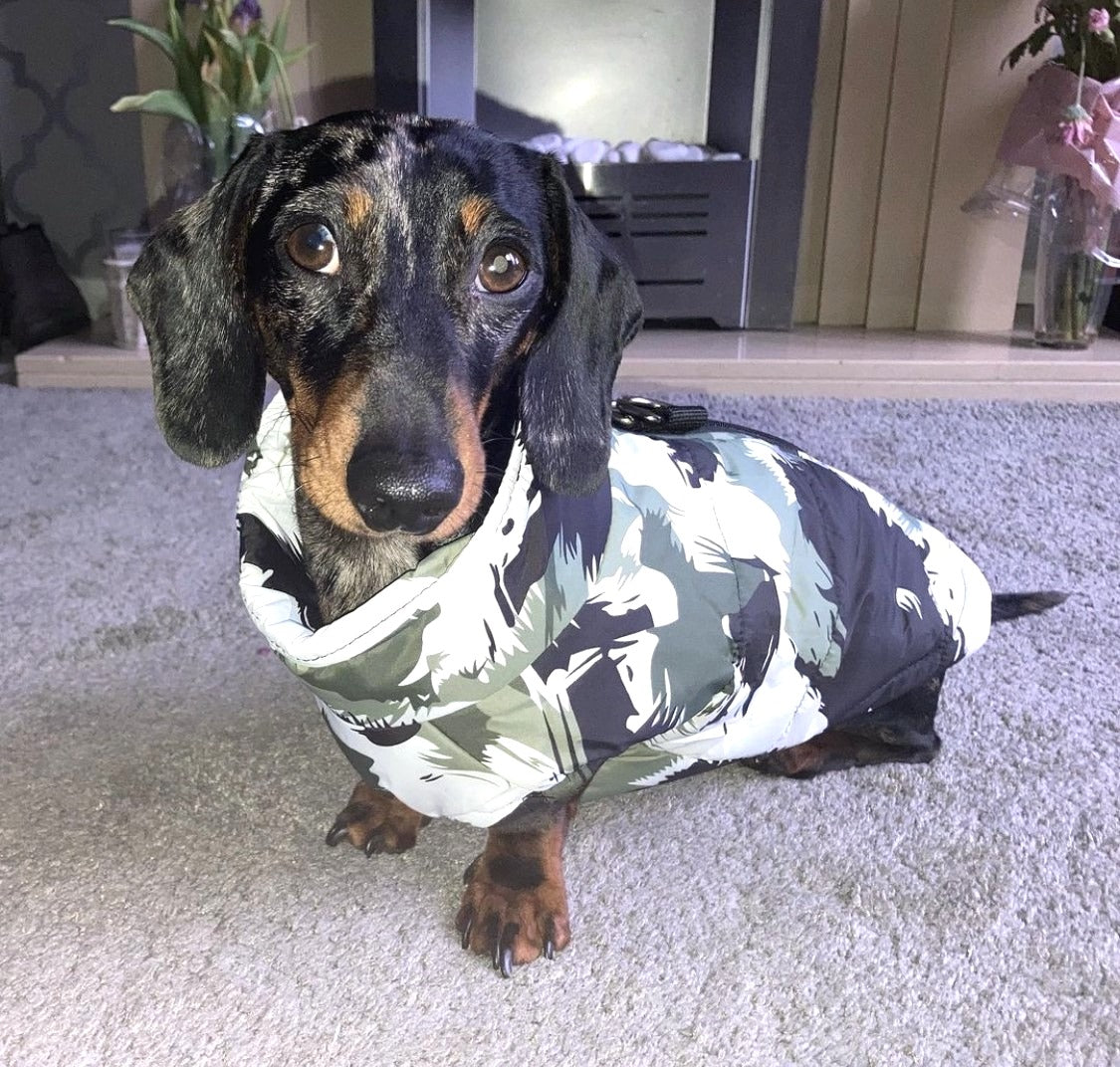 CLEARANCE - Sausage Dog Box Waterproof Step In Puffer Coat - Khaki Print