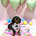 Load image into Gallery viewer, Bow Tie - Chasing Rainbows
