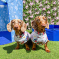 Load image into Gallery viewer, Nautical Sandy Sausage DoxieCool Dachshund Cooling Vest For Dachshund Dogs
