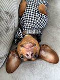 Load image into Gallery viewer, Dachshund Second Skin Tee - ‘Houndstooth’ | Sausage Dog Outfit
