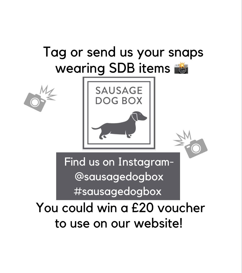 Sausage Dog Box V.I.P Very Important Pup Vest