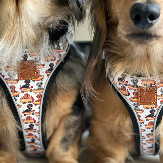 Anti-Rub Dachshund Harness - Weiner On Wheels