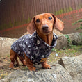 Load image into Gallery viewer, Black Twilight Doxie Fleece Dachshund Long Dog Zipper Jumper

