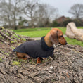 Load image into Gallery viewer, Black Cougar Sherpa Lined Dachshund Dog Coat / Parker Jacket For Sausage Dogs
