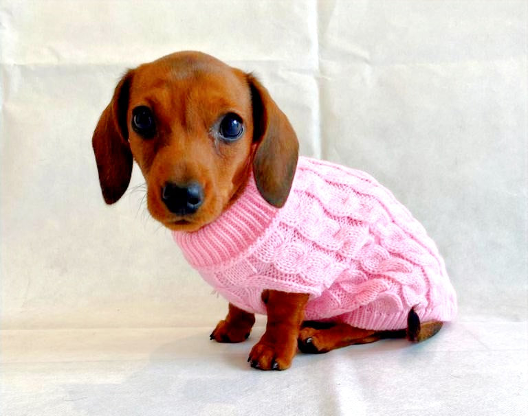 Sausage Dog Box Cosy Candyfloss Pink Cable Knit Dachshund Jumper