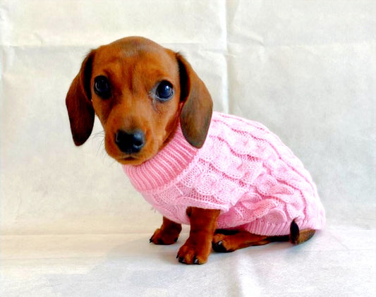 Sausage Dog Box Cosy Candyfloss Pink Cable Knit Dachshund Jumper