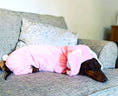 Load image into Gallery viewer, Dachshund Bunny Outfit
