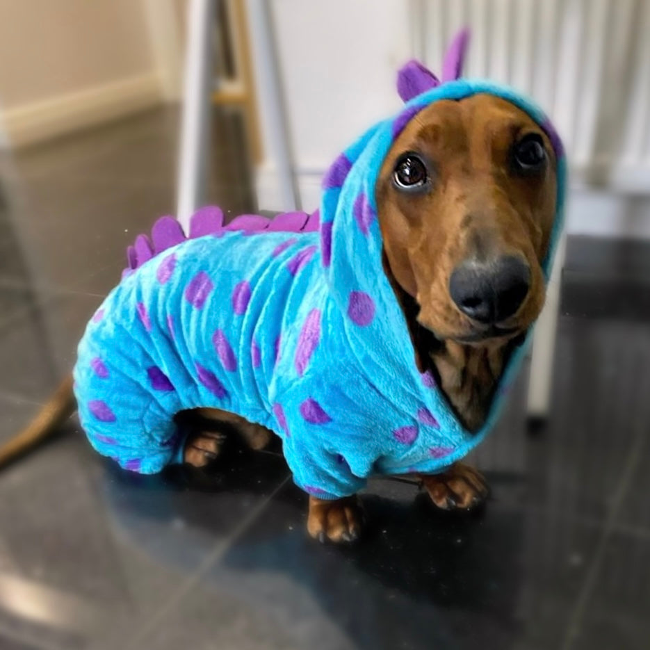 Dachshund Outfit - Little Monster