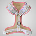 Load image into Gallery viewer, Daisy Balloon Dog Dachshund Anti-Rub Harness
