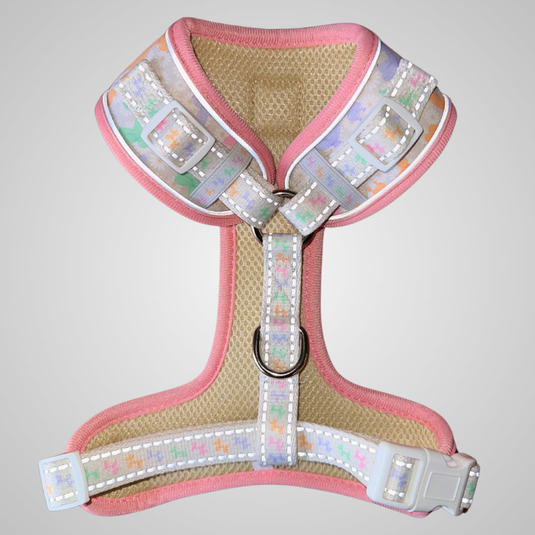Daisy Balloon Dog Dachshund Anti-Rub Harness