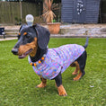 Load image into Gallery viewer, Dachshund In Bloom DoxieCool Dog Cooling Vest for Dachshunds
