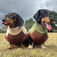 Load image into Gallery viewer, Pistachio Waterproof Dachshund Harness Fleece | DoxieDri by Sausage Dog Box
