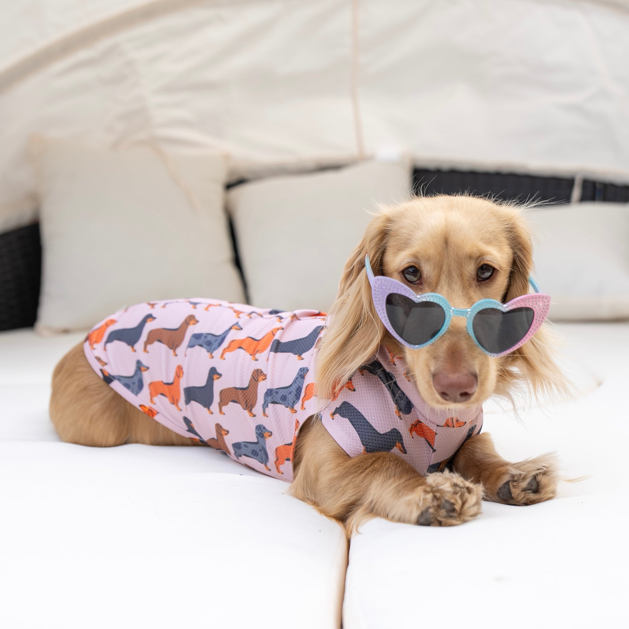 Beige Sausage Dog DoxieCool Dachshund Cooling Tee +30 Sun Protection Dog Vest