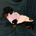 Load image into Gallery viewer, Sausage Dog Coat - Glow Getter - Reflective Light Up LED Dachshund Coat
