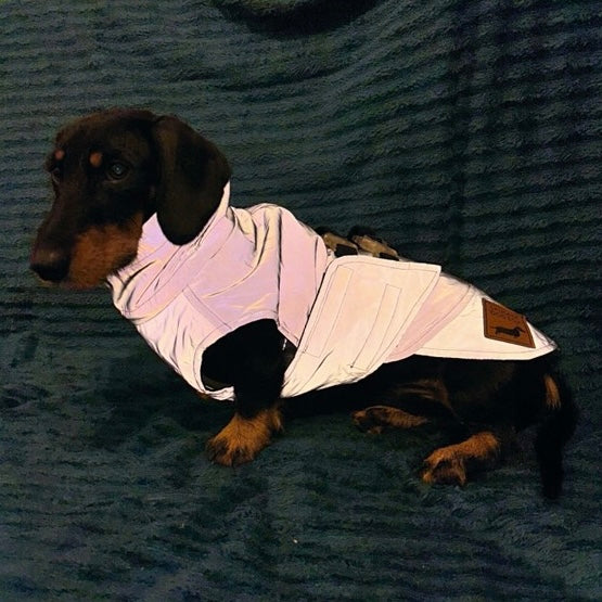 Sausage Dog Coat - Glow Getter - Reflective Light Up LED Dachshund Coat