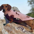 Load image into Gallery viewer, Strawberry Truffle DoxieDri Sausage Dog Harness Jumper

