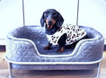 Load image into Gallery viewer, Sausage Dog Box, Dachshund Amity Grey/Silver Luxury Velvet Dog Bed Sofa
