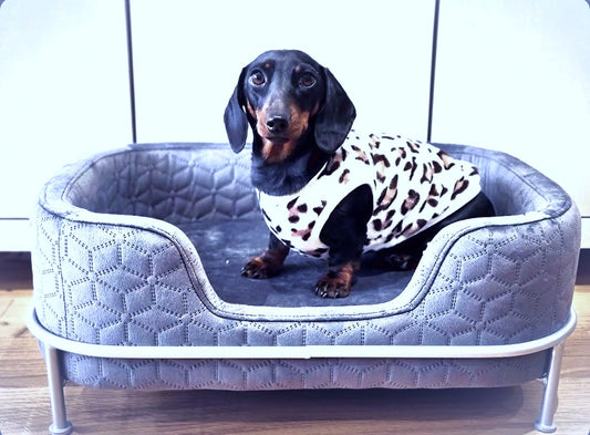 Sausage Dog Box, Dachshund Amity Grey/Silver Luxury Velvet Dog Bed Sofa