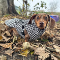 Load image into Gallery viewer, Sausage Dog Box Perfect Fit Dachshund Coat - Houndstooth
