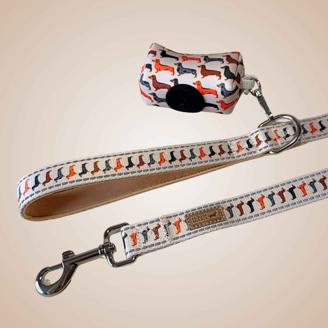 Beige Sophisticated Sausage Dachshund Lead