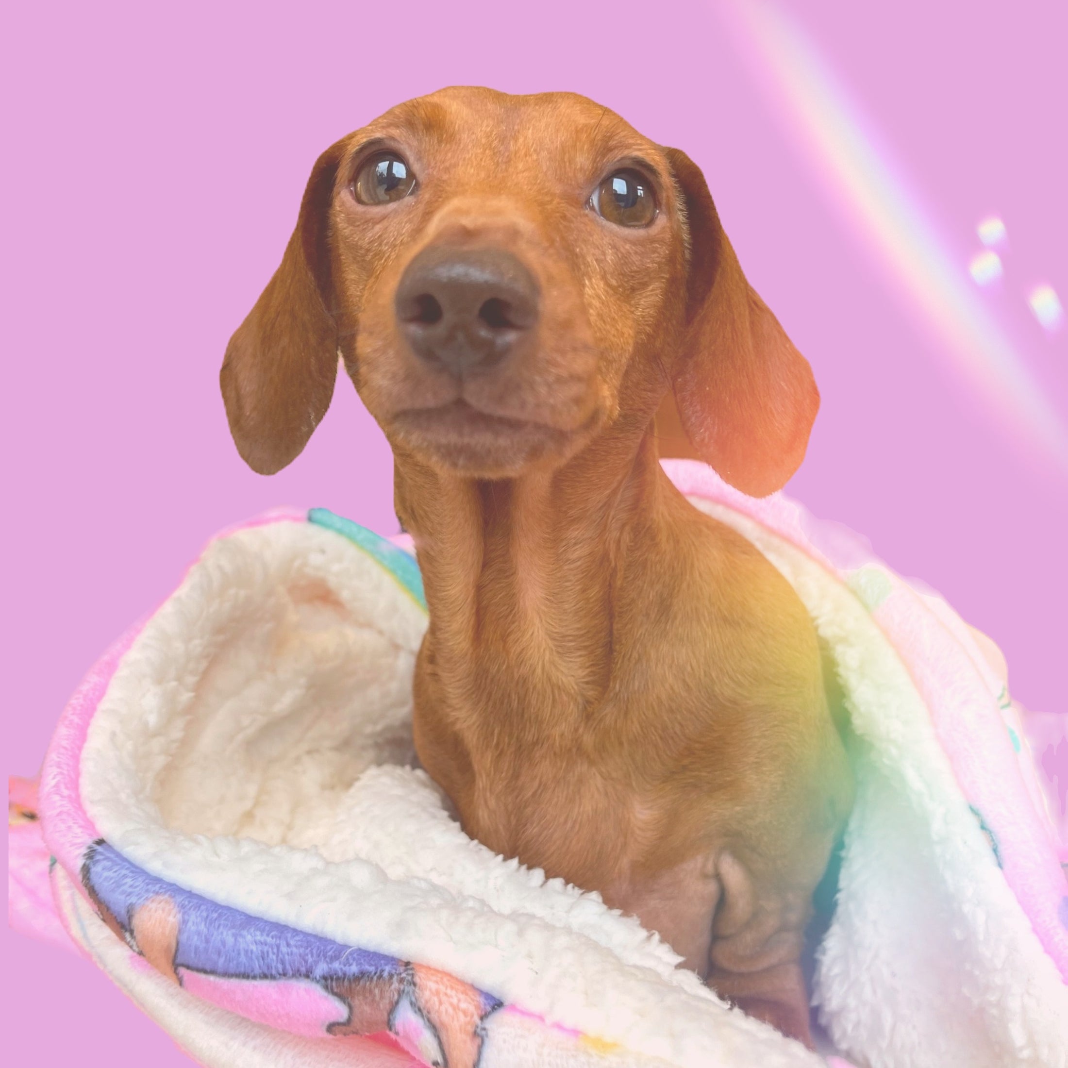 Blanket - Chasing Rainbows