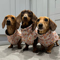 Load image into Gallery viewer, Warm Waterproof Dachshund Coat - Saucy Sausage Raincoat In Hot Dog Design
