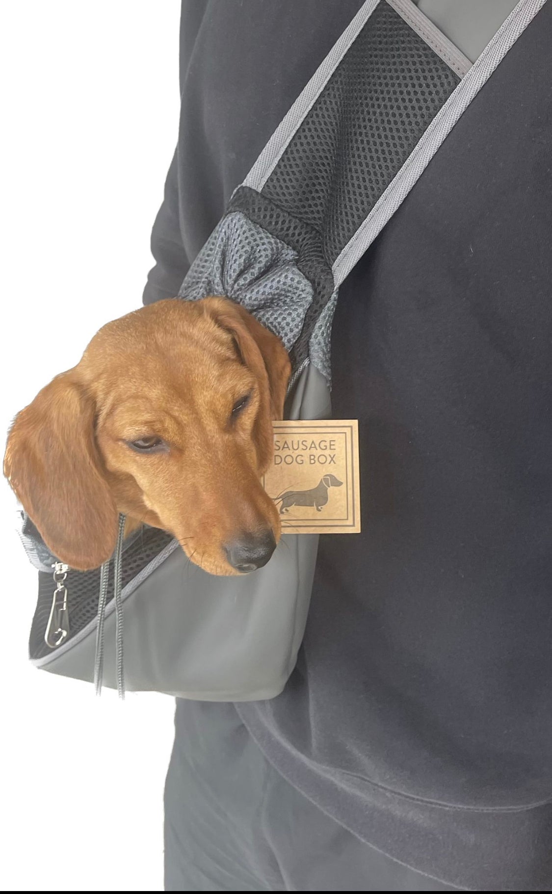 Sausage Dog Box Dachshund Puppy Sling Carrier Bag