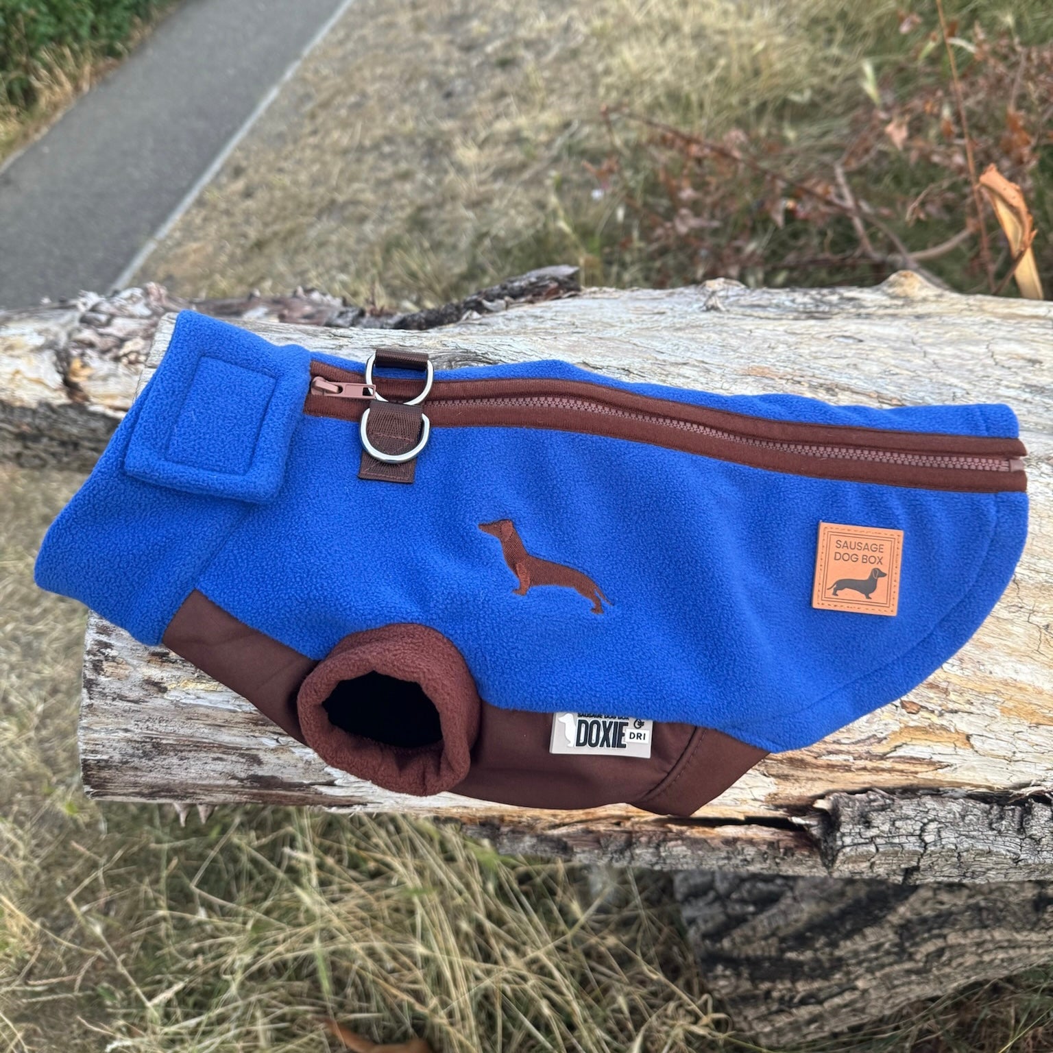 Azure Blue Waterproof Dachshund Harness Fleece | DoxieDri Jumper